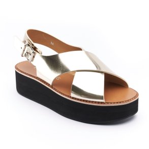 Flamingos malabar champagne