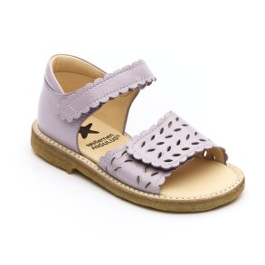 Angulus 5236 rteblomst