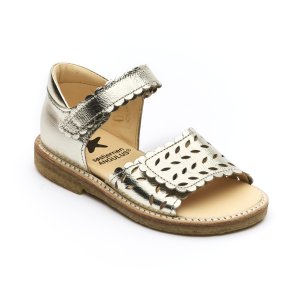 Angulus 5236 champagne