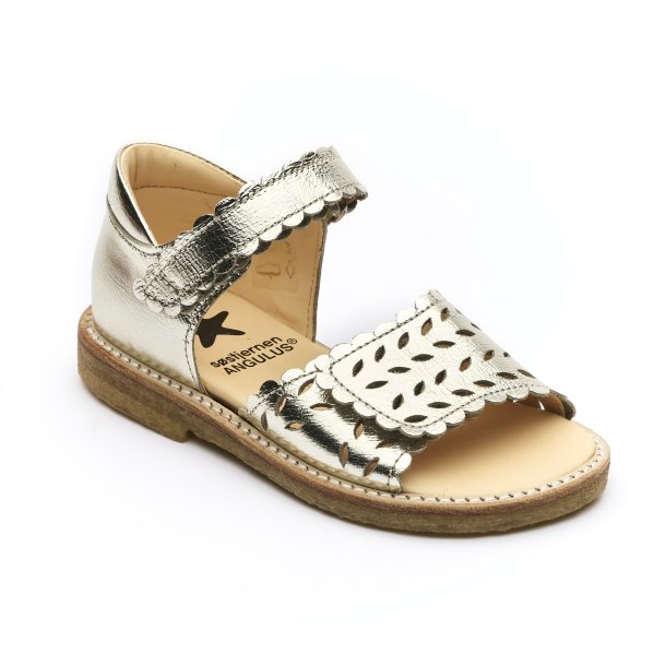 Angulus 5236 champagne