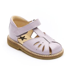 Angulus 5239 rteblomst