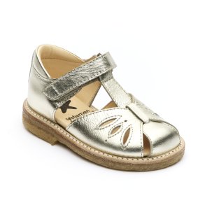 Angulus 5239 champagne