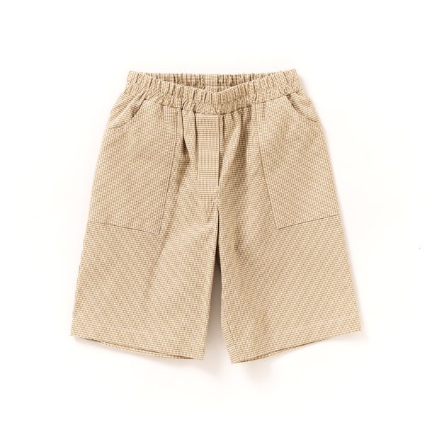  Bermuda hassel  tern