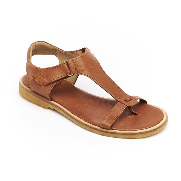 Angulus 5661 cognac