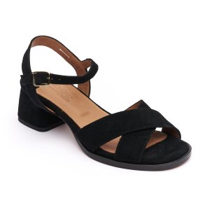  Anthology Unjha sort ruskind