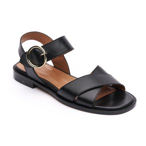 Anthology Reims sort 